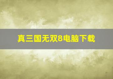 真三国无双8电脑下载