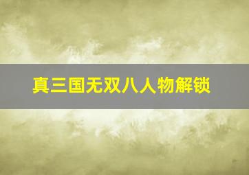 真三国无双八人物解锁