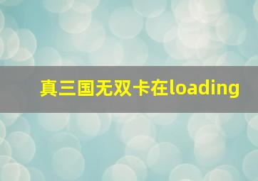 真三国无双卡在loading