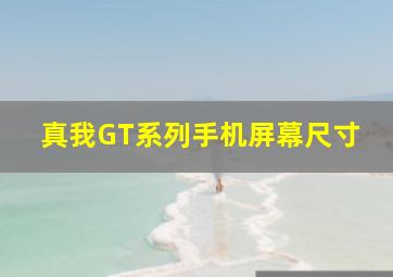 真我GT系列手机屏幕尺寸