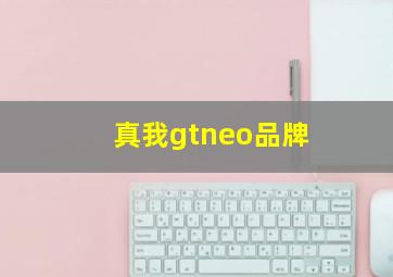 真我gtneo品牌