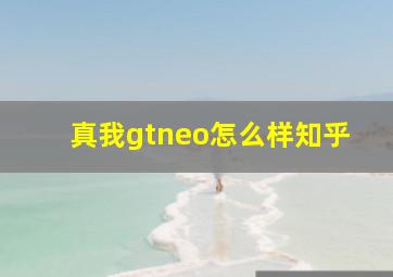 真我gtneo怎么样知乎