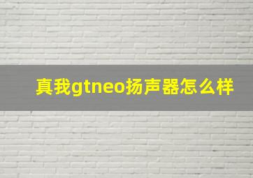 真我gtneo扬声器怎么样