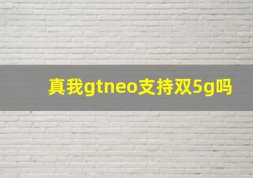 真我gtneo支持双5g吗