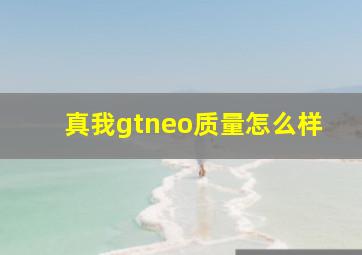 真我gtneo质量怎么样