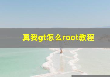 真我gt怎么root教程