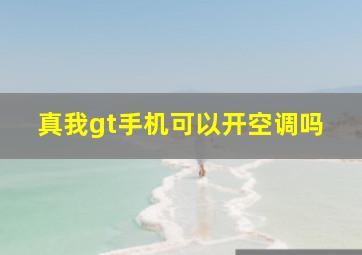 真我gt手机可以开空调吗