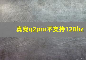 真我q2pro不支持120hz