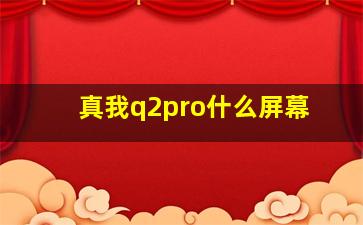 真我q2pro什么屏幕