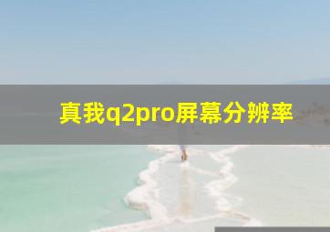 真我q2pro屏幕分辨率