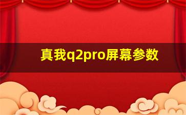 真我q2pro屏幕参数