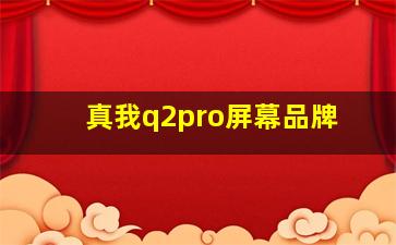 真我q2pro屏幕品牌