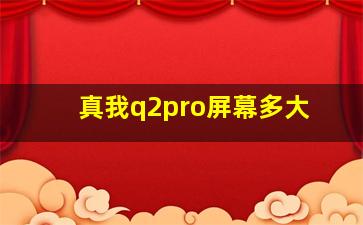 真我q2pro屏幕多大