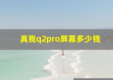 真我q2pro屏幕多少钱