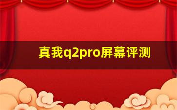 真我q2pro屏幕评测