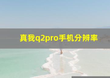 真我q2pro手机分辨率