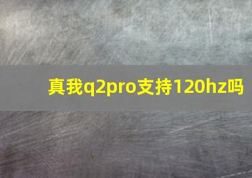 真我q2pro支持120hz吗