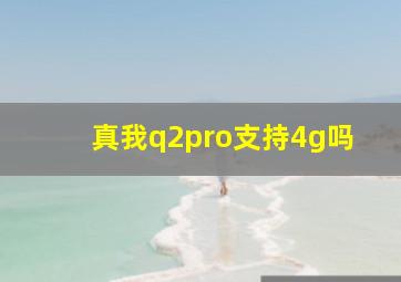 真我q2pro支持4g吗