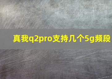 真我q2pro支持几个5g频段