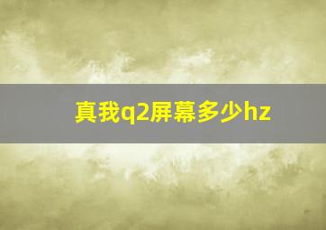 真我q2屏幕多少hz