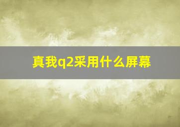 真我q2采用什么屏幕