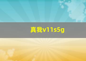 真我v11s5g