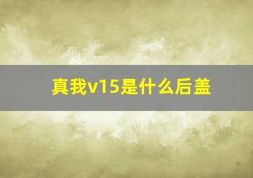 真我v15是什么后盖