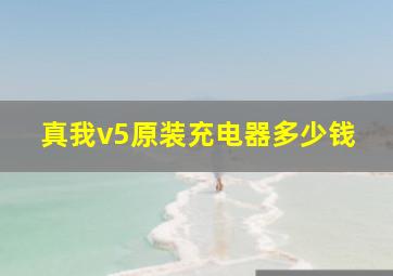 真我v5原装充电器多少钱