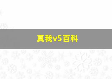 真我v5百科