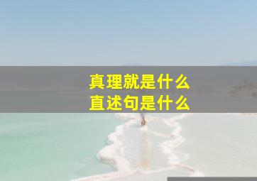 真理就是什么直述句是什么