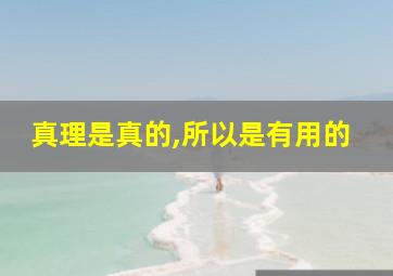 真理是真的,所以是有用的