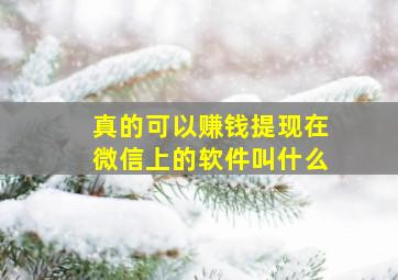 真的可以赚钱提现在微信上的软件叫什么