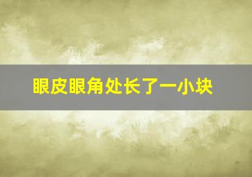 眼皮眼角处长了一小块