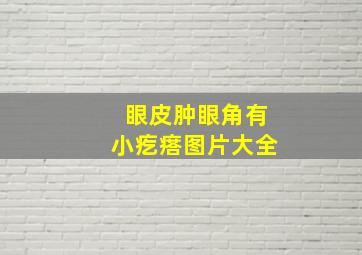 眼皮肿眼角有小疙瘩图片大全