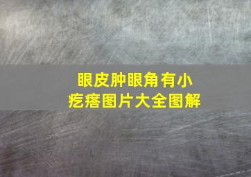 眼皮肿眼角有小疙瘩图片大全图解