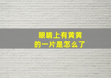 眼睛上有黄黄的一片是怎么了