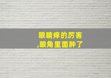 眼睛痒的厉害,眼角里面肿了