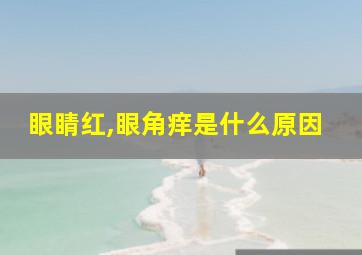 眼睛红,眼角痒是什么原因