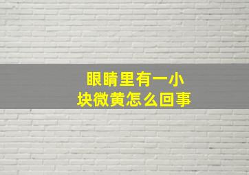 眼睛里有一小块微黄怎么回事