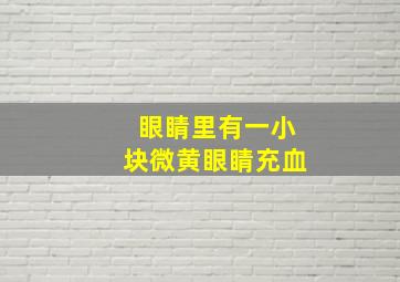 眼睛里有一小块微黄眼睛充血