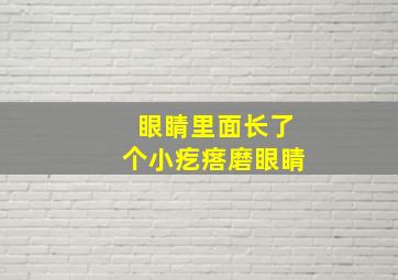 眼睛里面长了个小疙瘩磨眼睛