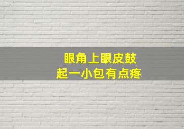 眼角上眼皮鼓起一小包有点疼