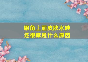 眼角上面皮肤水肿还很痒是什么原因