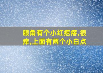 眼角有个小红疙瘩,很痒,上面有两个小白点