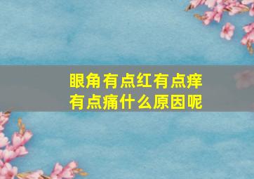 眼角有点红有点痒有点痛什么原因呢