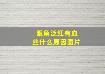 眼角泛红有血丝什么原因图片