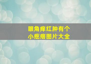 眼角痒红肿有个小疙瘩图片大全