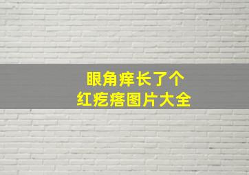 眼角痒长了个红疙瘩图片大全