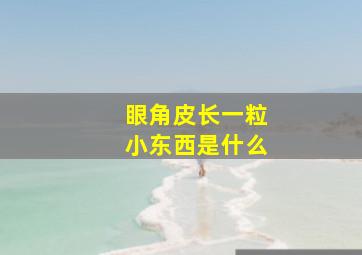 眼角皮长一粒小东西是什么