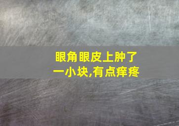 眼角眼皮上肿了一小块,有点痒疼